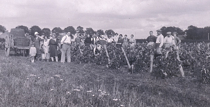 Histoire du groupe TRAVES : 1942 Vendanges