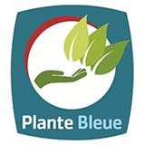 Plante Bleue