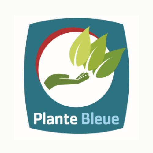 plante bleue